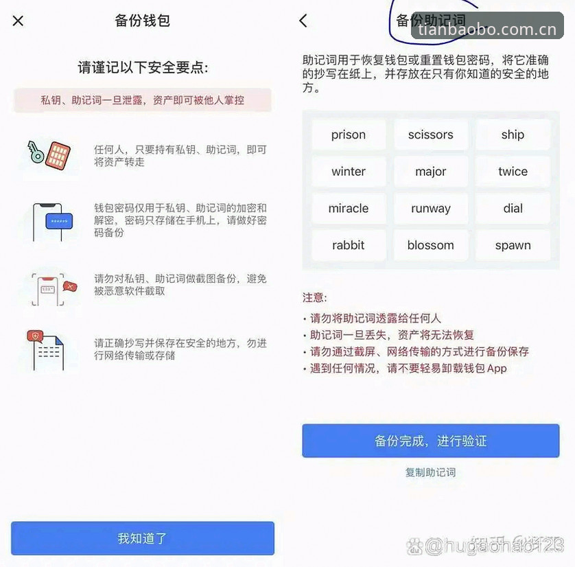 天宝博官网避坑指南：从网页登录到app安装，这5个细节决定体验上限